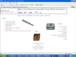 Picture of Your Web Presence click for more details